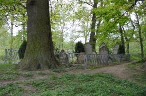 The Jewish cemetery in Schwaan