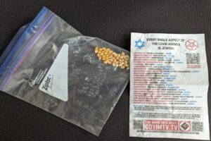 This flyer was found on Vinton Street inside a Ziploc bag weighted with popcorn kernels. Photo/Carol Robidoux