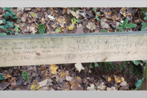 Graffiti on park bench. Image credit: Mark Michaels